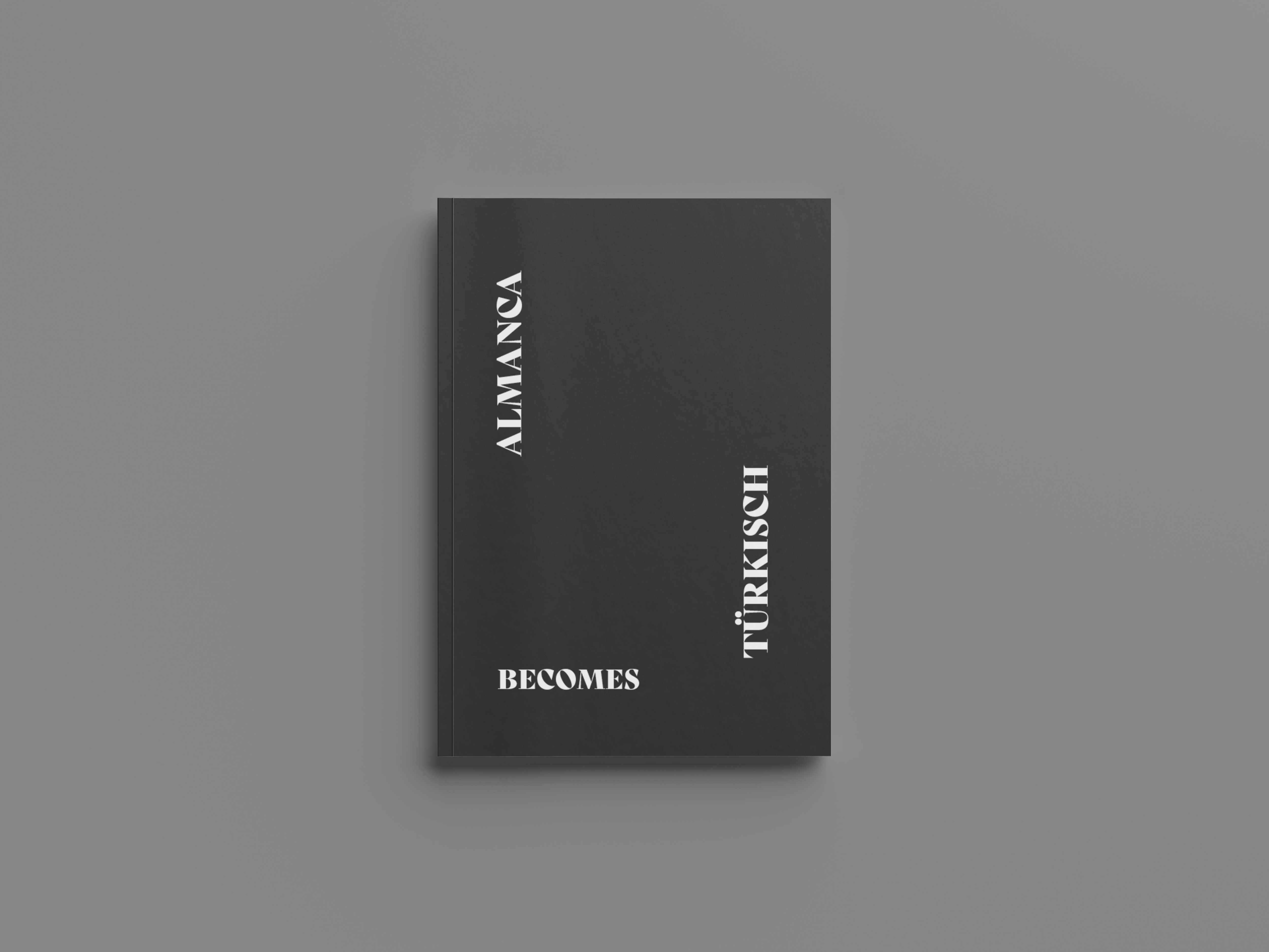 Doppelseite: Almanca becomes Türkisch – Spread 3